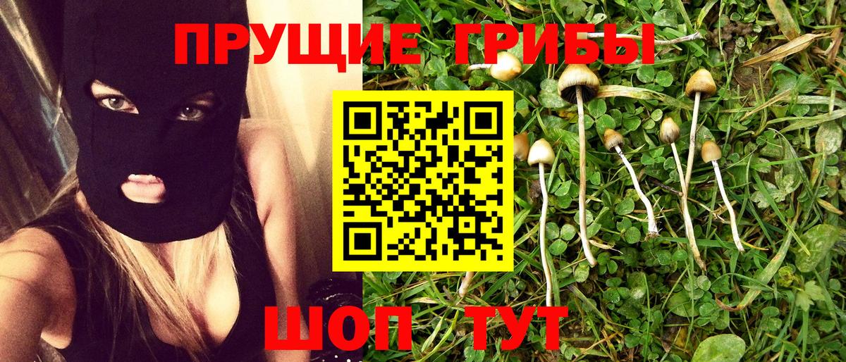 Первоуральск  Псилоцибиновые грибы прущие грибы  Вход с VPN  закладка  Галлюциногенные грибы мицелий 